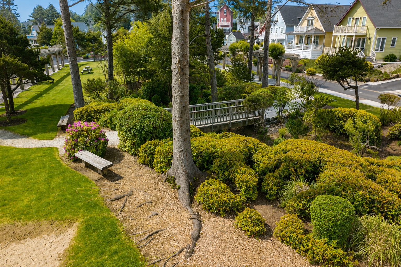 Park pergola walk