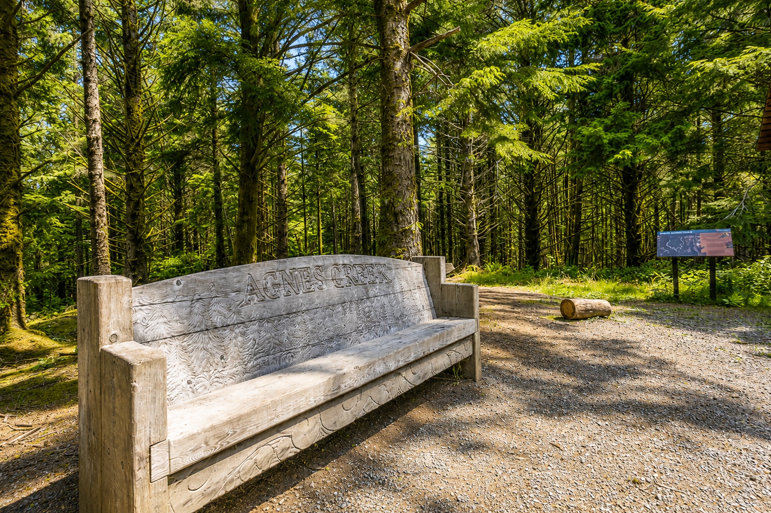 Forest bench
